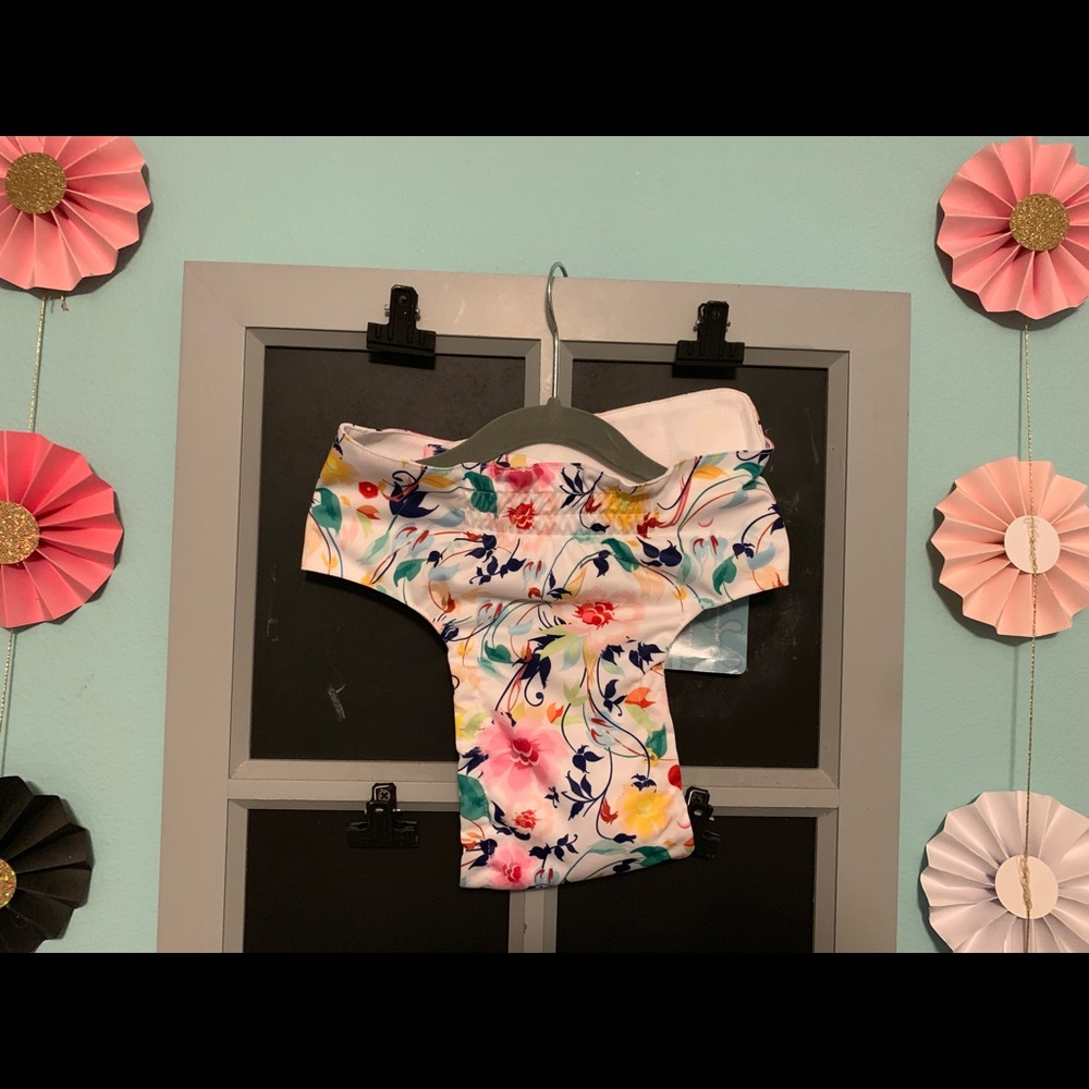 Washable Diaper for Dogs